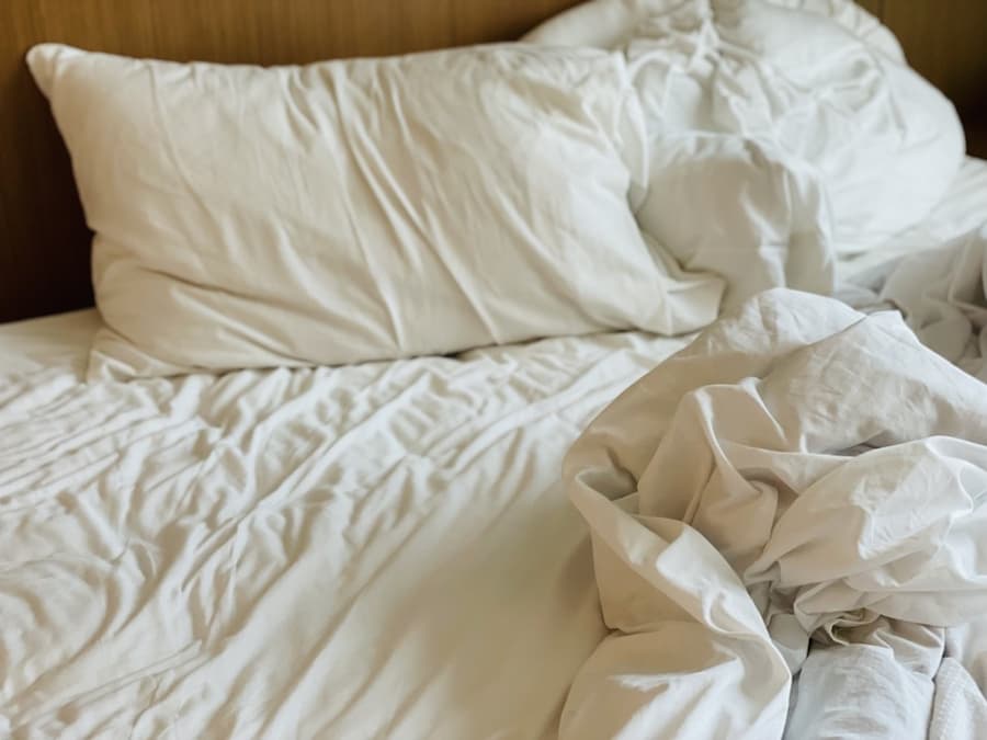 My Apartment Has Bed Bugs! What Should I Do?