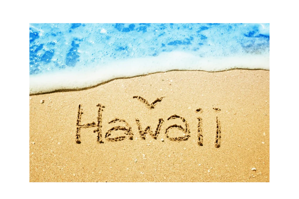 Hawaii rental application